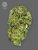 The Bulldog Seeds TB Sour Diesel Regular, 3 und 5 Stück