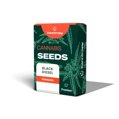 Canntropy Seeds Black Diesel (Feminized)