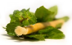 SIWAK Natural toothbrush Natural case - Mint