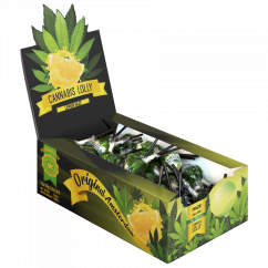 Cannabis Lemon Haze Lollies – Display Carton (70 Lollies), 1330 g