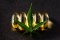 CBD capsule dosage and its pitfalls