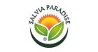 Salvia Paradise