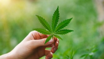 The ultimate guide to the world of CBD: What is cannabidiol and where does it help?