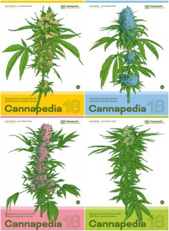 Cannapedia 2018 – Kalendář konopných odrůd ve čtyřech unikátních edicích právě v  prodeji