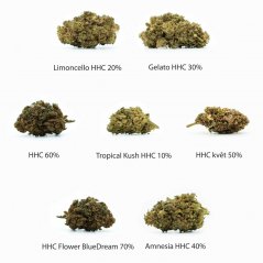 HHC Flowers Sample set- Tropical Kush 10 %, Limoncello 20 %, Gelato 30 %, Amnesia 40 %, Cheese 50 %, OG Kush 60 %, Blue Dream 70 % - 7 x 1 g