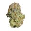 Royal Queen Seeds Cannabis Seeds Fruit Spirit Feminized