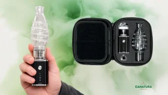 Testbericht zum Linx Apollo Vaporizer