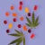 CBD Vingummier