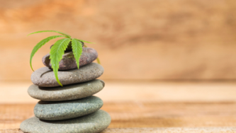 6 Anwendungen von CBD zur Förderung der psychischen Gesundheit und des Wohlbefindens mit Nachweisen + Nebenwirkungen von CBD
