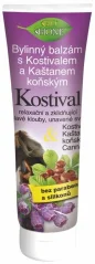Bione Comfrey žolelių tepalas su arklio kaštonu, 300 ml