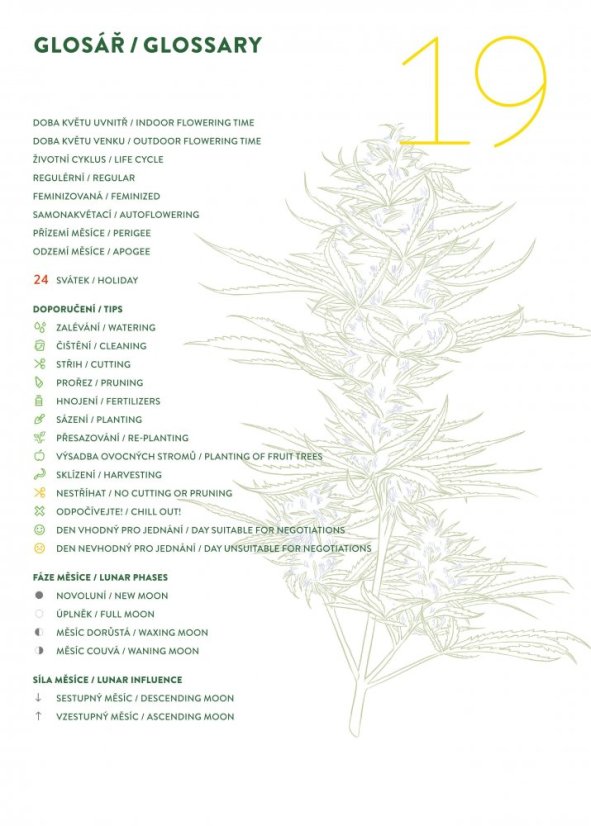 Kalendář 2019 - Legendy + 10x Jack Herer od Green House Seeds