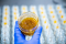 Live resin extract is the future of cannabis