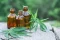 Natural hemp oils – bottles with CBD extract and fresh hemp leaves as a symbol of natural pain relief.