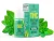 CanaPuff THC+ flydende frisk mynte, 89 mg, 30 ml