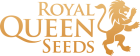 Royal Queen Seeds