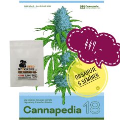 Kalendář 2018 - Legendy + 15x BCN Critical XXL Autoflowering