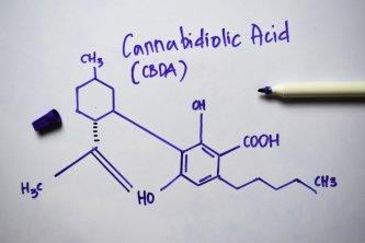 Co je CBDA (Kyselina kanabidiolová)?