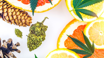 Kaj so flavonoidi, terpeni in terpenoidi?