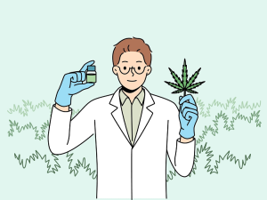 Illustration showing a man holding a bottle of 10-OH-HHCP in one hand and a cannabis leaf in the other Illustration showing a man holding a bottle of 10-OH-HHCP in one hand and a cannabis leaf in the other