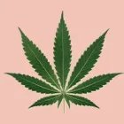 CBT Produkti