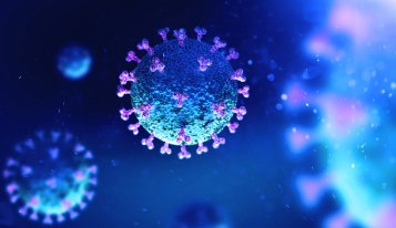 Zlúčeniny z konope môžu zabrániť infekcii vírusom Covid-19, zistilo sa v laboratórnej štúdii