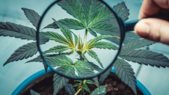 What to do if CBD doesn't work for you