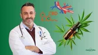 CBD in ateroskleroza: kako lahko CBD podpira zdravje krvnih žil in zmanjšuje vnetje