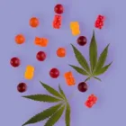 CBD Gomme