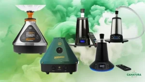 The 5 best desktop vaporisers from Storz & Bickel and Arizer
