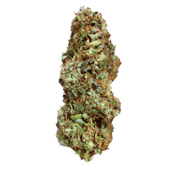 Royal Queen Seeds Cannabis Seeds Special Kush #1 Feminized