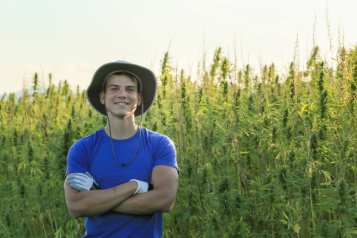 How consumption of cannabis influences muscles growth