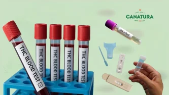 THC blood detection - Blood tubes labelled THC Blood Test and saliva test, complete with Canatura logo THC blood detection - Blood tubes labelled THC Blood Test and saliva test, complete with Canatura logo
