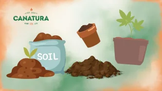 Ilustrație a celui mai bun sol pentru cultivarea canabisului – un sac de pământ, un ghiveci cu o plantă de canabis, un morman de argilă, cu logo-ul Canatura în colțul din stânga sus. Ilustrație a celui mai bun sol pentru cultivarea canabisului – un sac de pământ, un ghiveci cu o plantă de canabis, un morman de argilă, cu logo-ul Canatura în colțul din stânga sus.