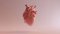Three benefits of CBD to protect the cardiovascular system with evidence  (including CBD side effects)