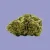 CBD-blomster