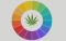 Terpeny v konopí setém – od rostliny k lidem