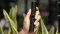Review of the Flowermate Slick vaporiser