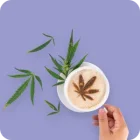 CBD Kava