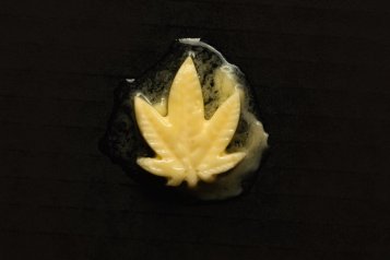 Mantequilla de cáñamo - receta, efectos, dosis
