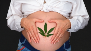 CBD v těhotenství a při kojení CBD v těhotenství a při kojení