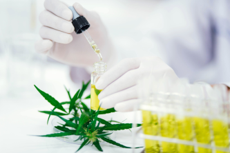synthetische Cannabinoide