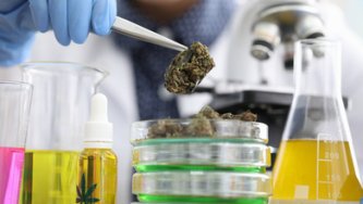 Kaj je Ice O Lator ali Bubble hash?
