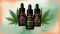 10%, 20%, and 40% CBD oil, hemp leaves along the edges, Canatura logo in the bottom right.