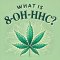 Text: What is 8-OH-HHC?, cannabis leaf on light green background