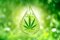 Nano CBD - Pseudoscience or innovation?