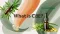 Illustrative image with hemp products and the text ‘What is CBE?’ – introduction to the cannabinoid CBE