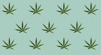 CBD, HHC, H4CBD: V čem se razlikujejo in kaj imajo skupnega?