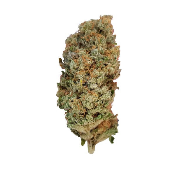 Royal Queen Seeds Cannabis Seeds Special Queen #1 Feminized