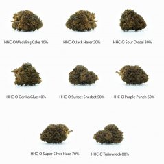 HHC-O Flowers Sample set - Wedding Cake 10%, Jack Herer 20%, Sour Diesel 30%, Gorilla Glue 40%, Sunset Sherbet 50%, Purple Punch 60%, Super Silver Haze 70%, Trainwreck 80% - 8 x 1 g