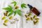 Reviews of CBD capsules